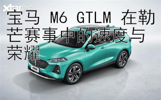 宝马 M6 GTLM 在勒芒赛事中的速度与荣耀